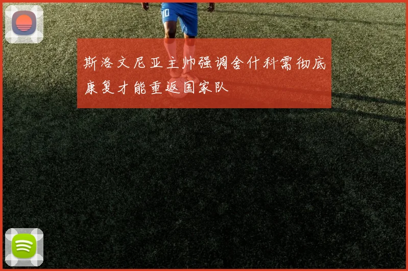 斯洛文尼亚主帅强调舍什科需彻底康复才能重返国家队